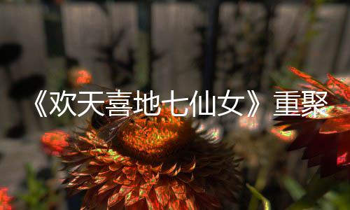 仙女王牌网友地七对王重直呼天喜牌爷青欢回聚