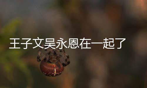 宣布王子文吴 王微博在一子文恋情改名永恩与吴永恩起了