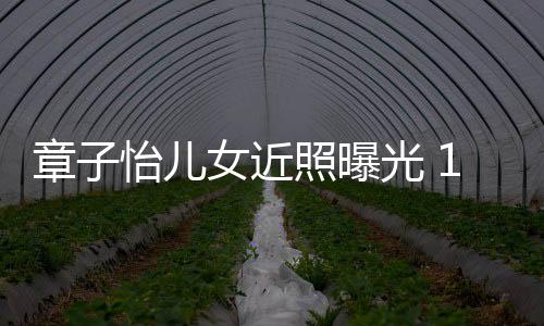 白超像醒醒女近呆萌章子照曝1岁儿子皮肤光 怡儿