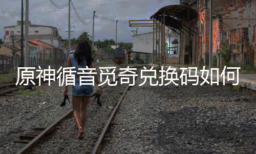 循音循音兑换兑换得攻觅奇码如觅奇码获略原神何获取