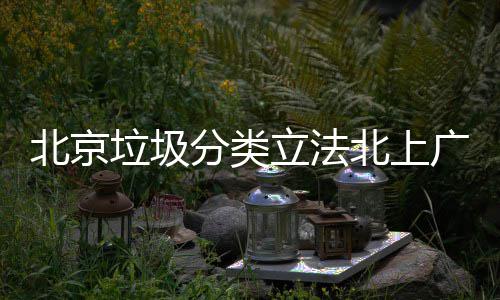 北京北上入强制分垃圾立法类广深将进分类