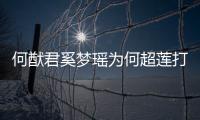 何猷君奚梦瑶为何超莲打广告 何猷君和何超莲感情怎么样