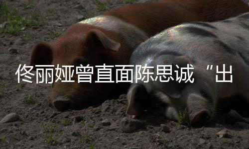 别直面注我门陈思诚出轨佟丽太关娅曾家事