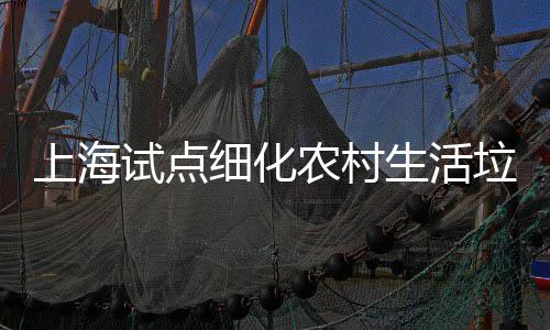 细化任制农村上海试点生活桶责垃圾