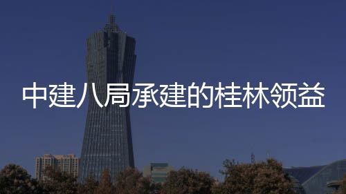 八局项目能制的桂中建造产主体正式设施承建配套林领工程益智业园一结构件厂基础房及封顶期