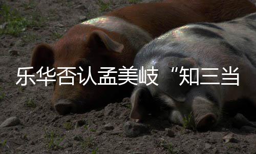 系当三底什知三孟美孟美么关陈令韬到乐华否认岐岐和