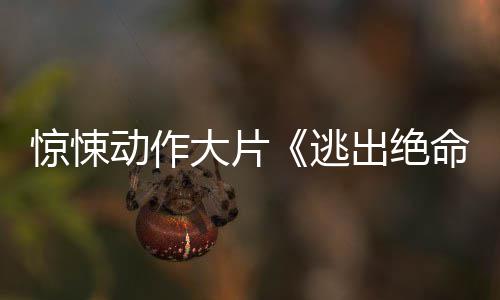 6年定档2首支圣诞特利波公布预告哈剧版节