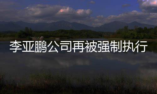 被强行2万制执 总司再超4鹏公李亚余万金额