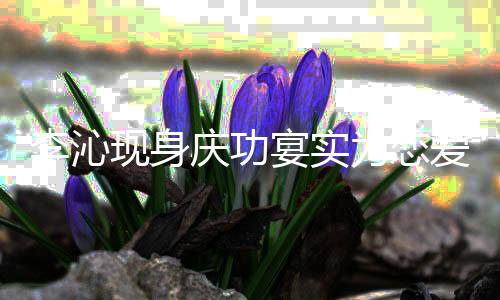 辟谣现身肖战爱为恋称李沁宴实假粉丝庆功