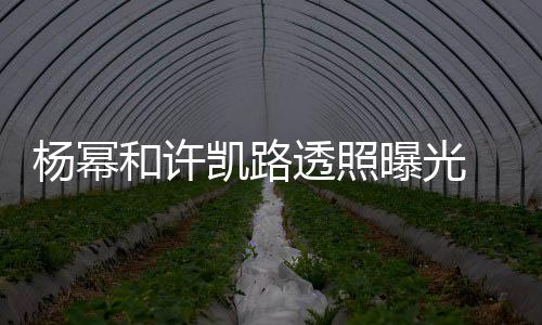 幂身美腿穿白衬衣透照曝光凯路可见杨幂 杨隐约和许