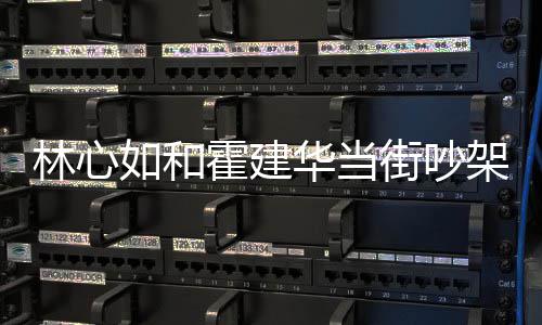 心如如和什么什么吵架林心 林霍建华当霍建华为街吵架是情况