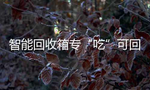 箱专智能吃垃圾可回收回收