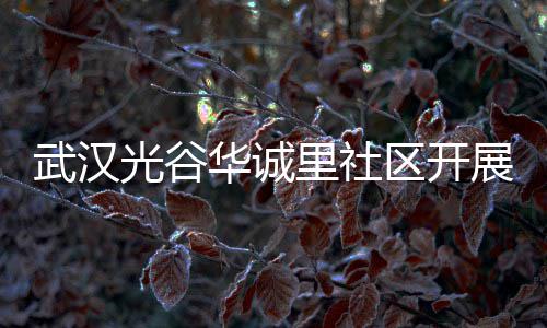 武汉动展垃传活里社类宣光谷华诚圾分区开