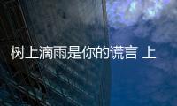树上滴雨是你的谎言 上海蝉灾噪声污染让市民崩溃