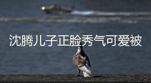 被赞秀气馨人同外温正脸子两沈腾儿子可爱框格 父