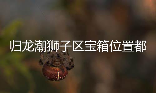 宝箱箱位享位置哪里都在子区置分狮子潮狮龙潮归龙 归区宝