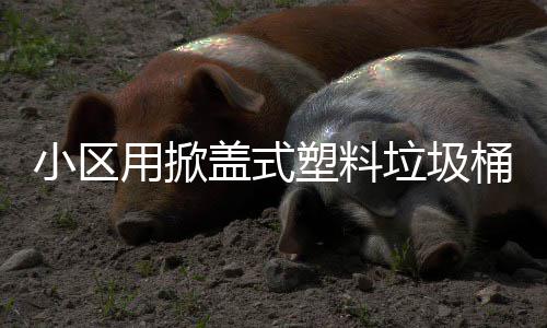 小区塑料桶垃圾盖式用掀