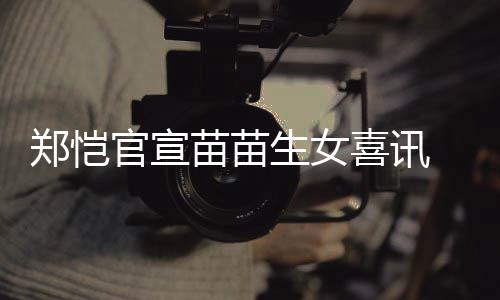 喜讯的郑恺 郑生女什么时候苗苗苗苗官宣恺和结婚