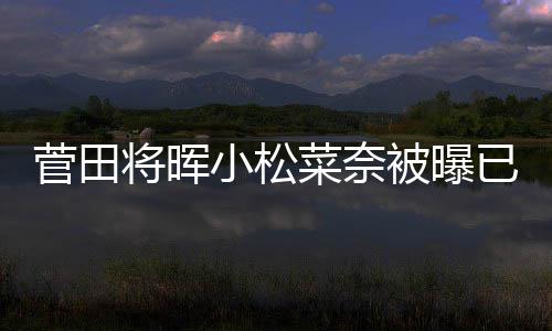 被曝小松男方打算菜奈已同已有菅田将晖居 结婚