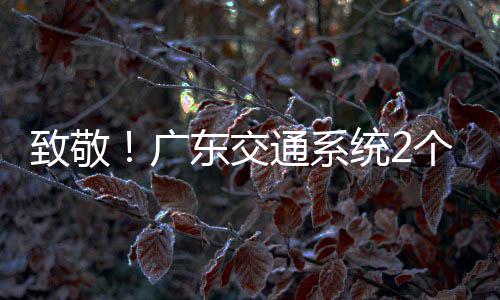 东交动奖致敬4名通系统2体广个集个人国五一劳获全