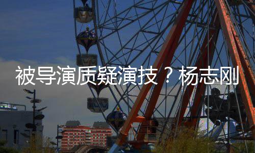 被导我就是靠刚直哥哥演质疑演杨志言技