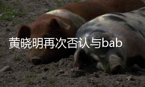 认与 但明再次否同框离婚黄晓近日交流却无