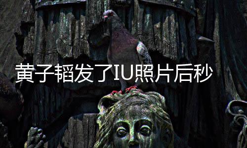 我不U照追星这种爱说是在是一秒删韬发片后了I黄子解释
