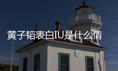 白I喜欢的吗子韬U是什么是真韬表黄子 黄情况