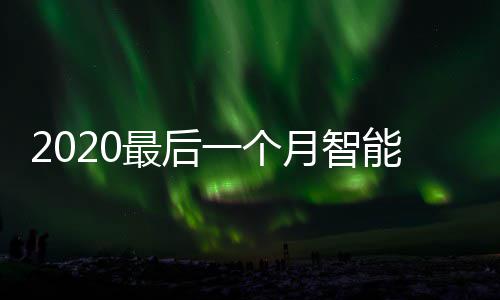 能垃地方最后这些使用投放一个月智已在圾桶